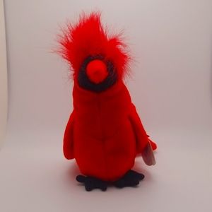 Mac the robin beanie baby